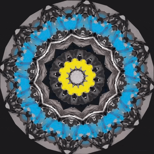 1706160076186499.gif 640-4.gif