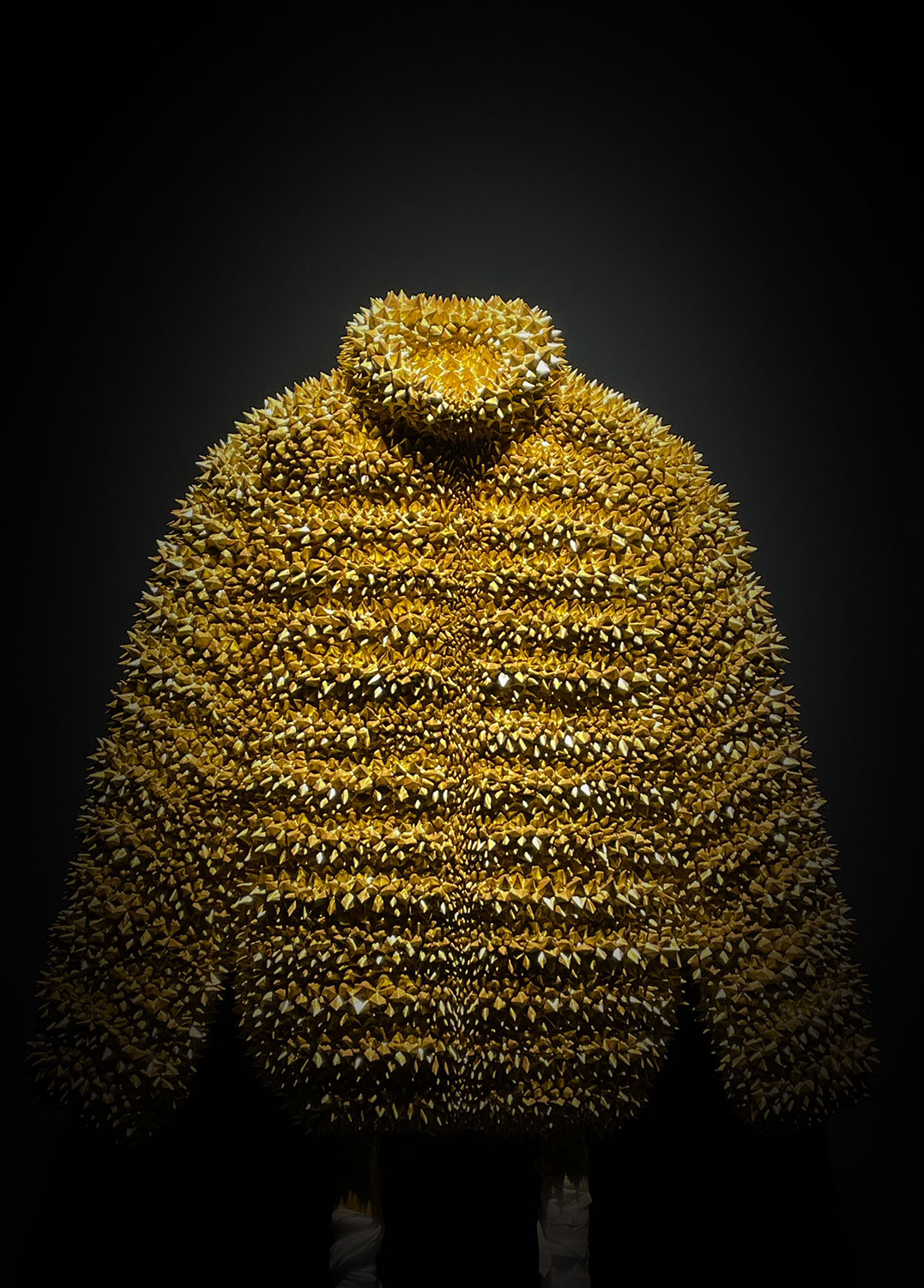 Clothes 铸铜贴金 173x85x50cm 2022