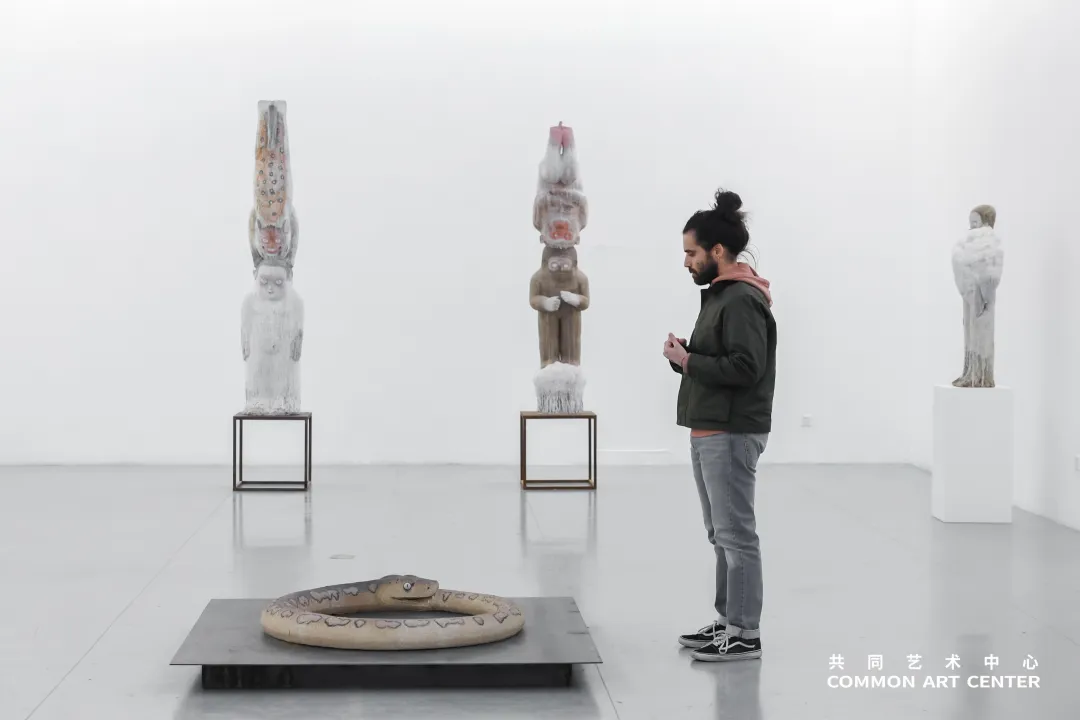 图片 图片